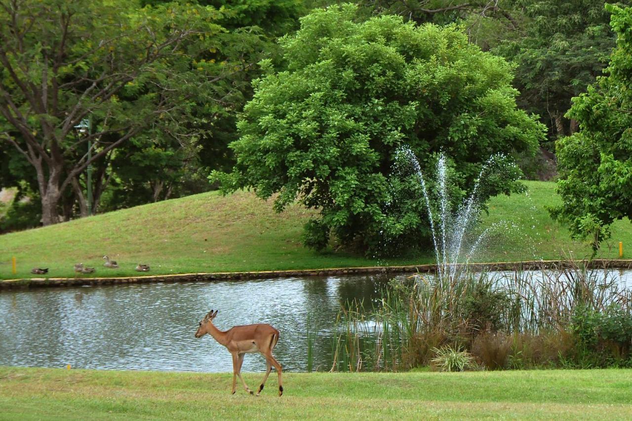 Kruger Park Lodge Unit No. 608B 헤이지뷰 외부 사진
